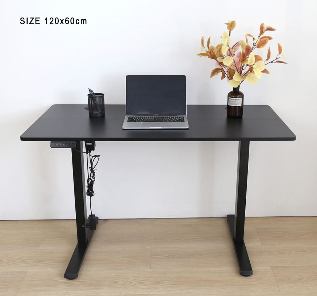 160x50cm- Electric Height Adjustable Desk – Ergonomic Sit-Stand(One Piece Tabletop)